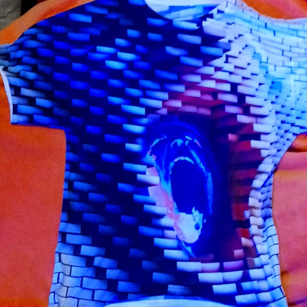 Pink Floyd shirt from the album The Wall